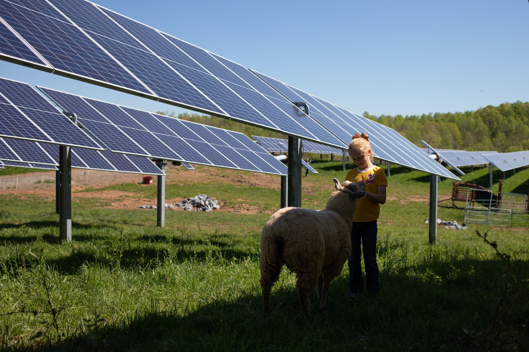 Sheep Farm_16.jpg
